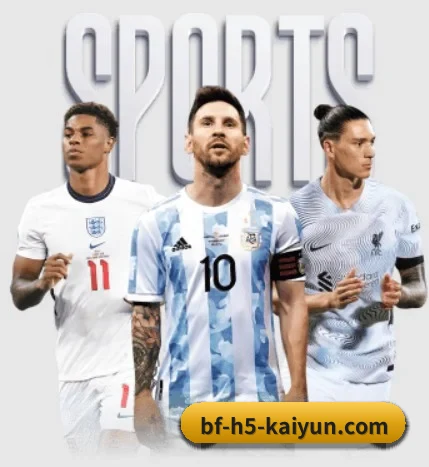 我们在做什么 - 长期内容价值积累 - Kaiyun Sports