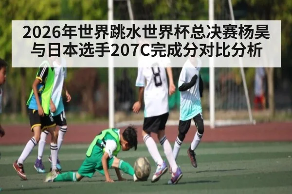 2026年世界跳水世界杯总决赛杨昊与日本选手207C完成分对比分析 - Kaiyun Sports